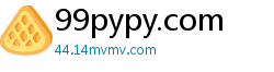 99pypy.com